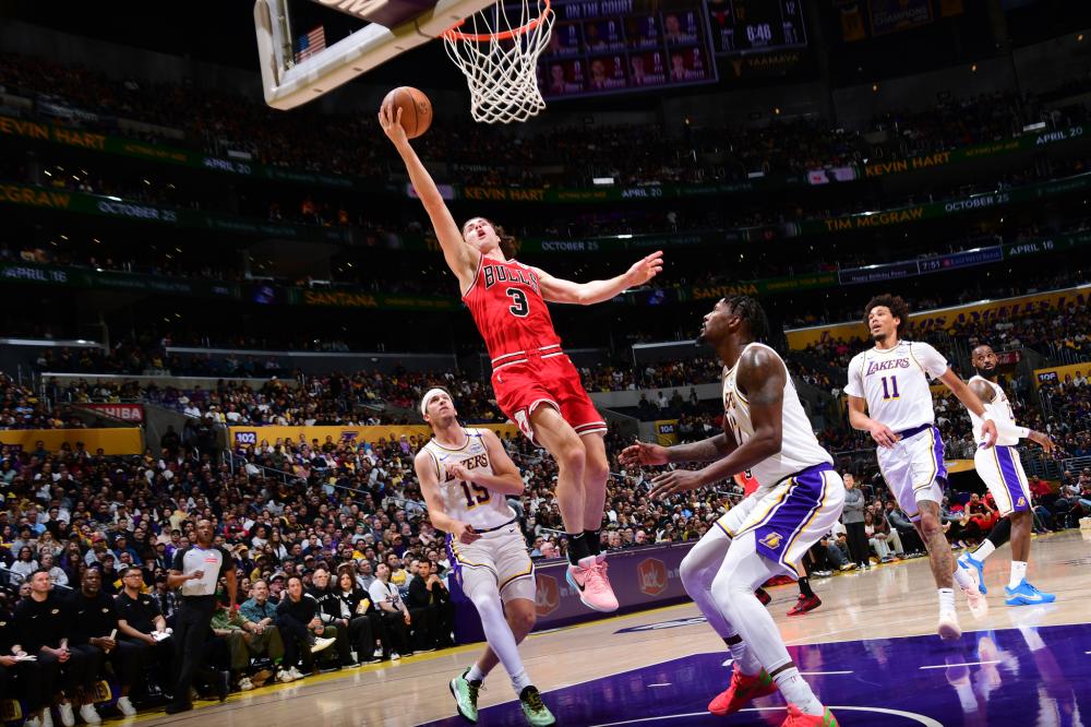 同时引进了 同时引进了